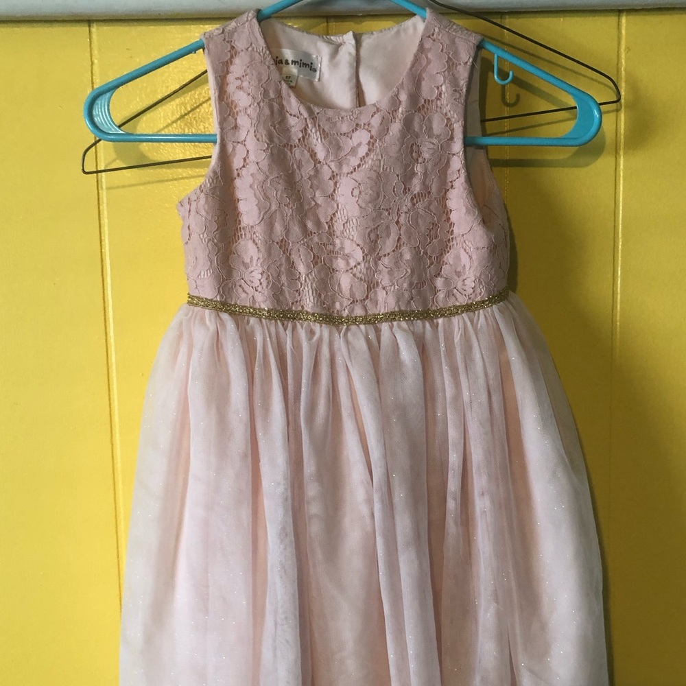 Little girls special occasion dress